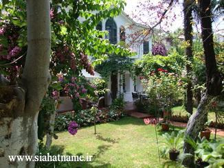 داخل حیاط یکی از خونه های ویلایی جزیره